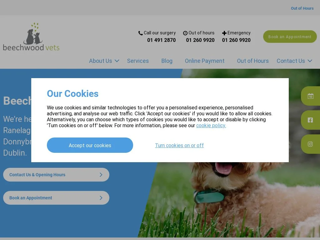 Vets Dublin (2026 Guide) Beechwood Vets Dublin