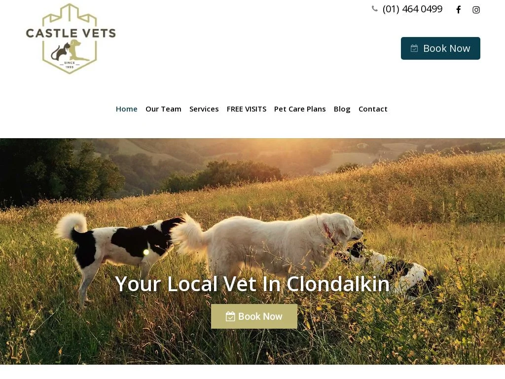 Vets Dublin (2026 Guide) Castle Veterinary Clinic - Clondalkin