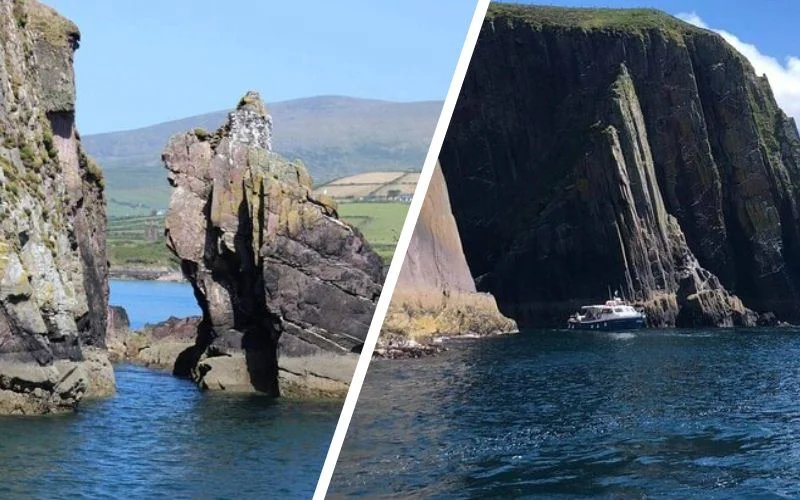 Handpicked Dingle Tours That Locals Keep Secret (Expert-Verified 2026) Dingle Bay Cliff Tour