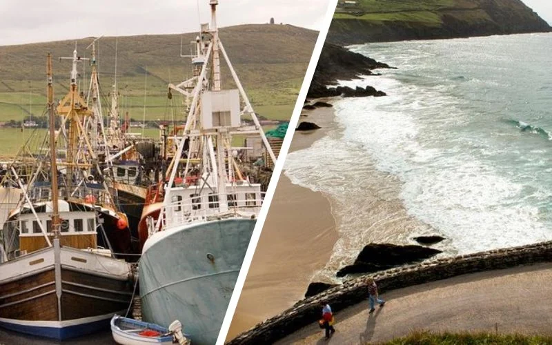 Hidden Tours in Limerick: The 12 Secret Routes Only Locals Know (Expert-Verified 2026) Dingle Peninsula Day Tour from Limerick Including The Wild Altanic Way