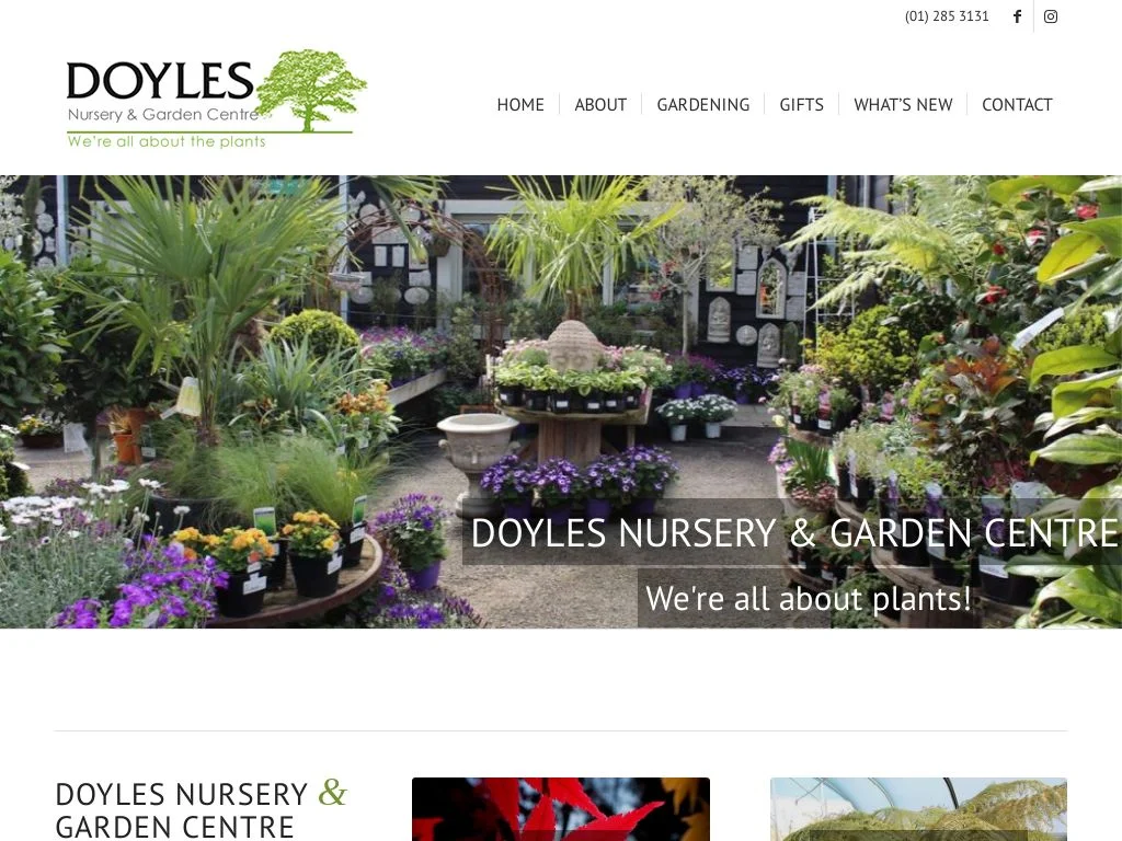 Garden Centres in Dublin: Where to Go for Plants That Survive Here Doyle