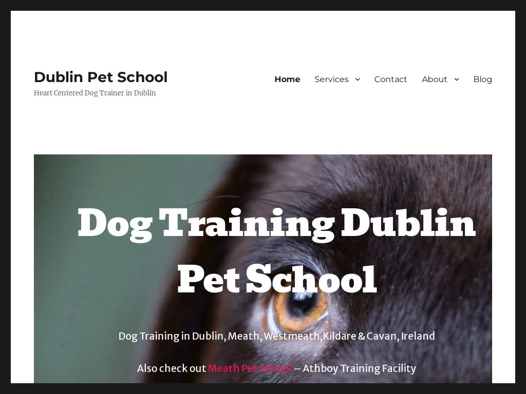 Dublin Dog Owners Reveal 5 Trainers That Actually Work 2026 Dublin Pet School
