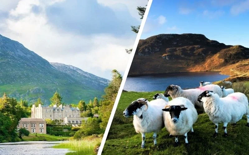 Hidden Ireland: 7 Secret Small-Group Tours Only Locals Know About (2026 Expert-Verified + Interactive Map) From Galway Castles of Connemara Full-Day Tour