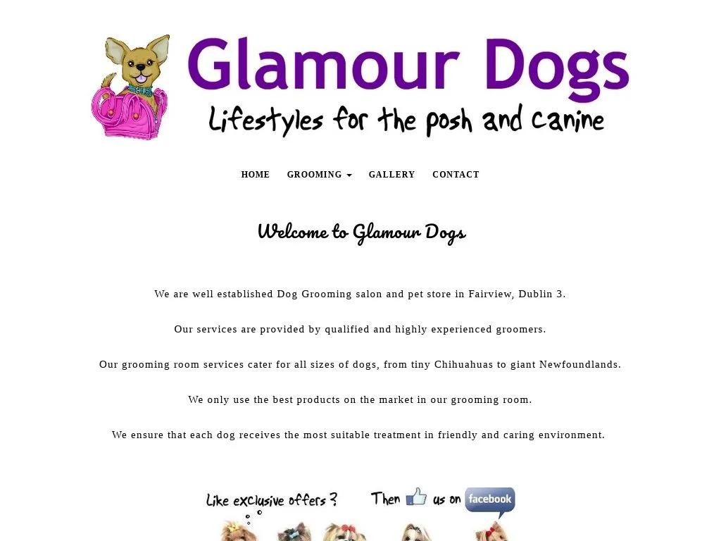 Best Dog Groomers In Dublin: Your Pet's Spa Day Awaits! (2026 Gem) Glamour Dogs