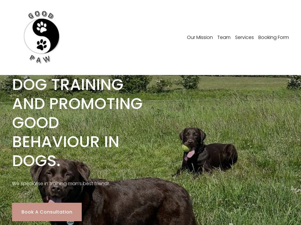 Dublin Dog Owners Reveal 5 Trainers That Actually Work 2026 Good Paw