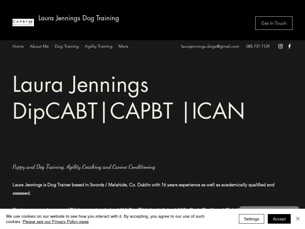 Dublin Dog Owners Reveal 5 Trainers That Actually Work 2026 Laura Jennings Dog Training