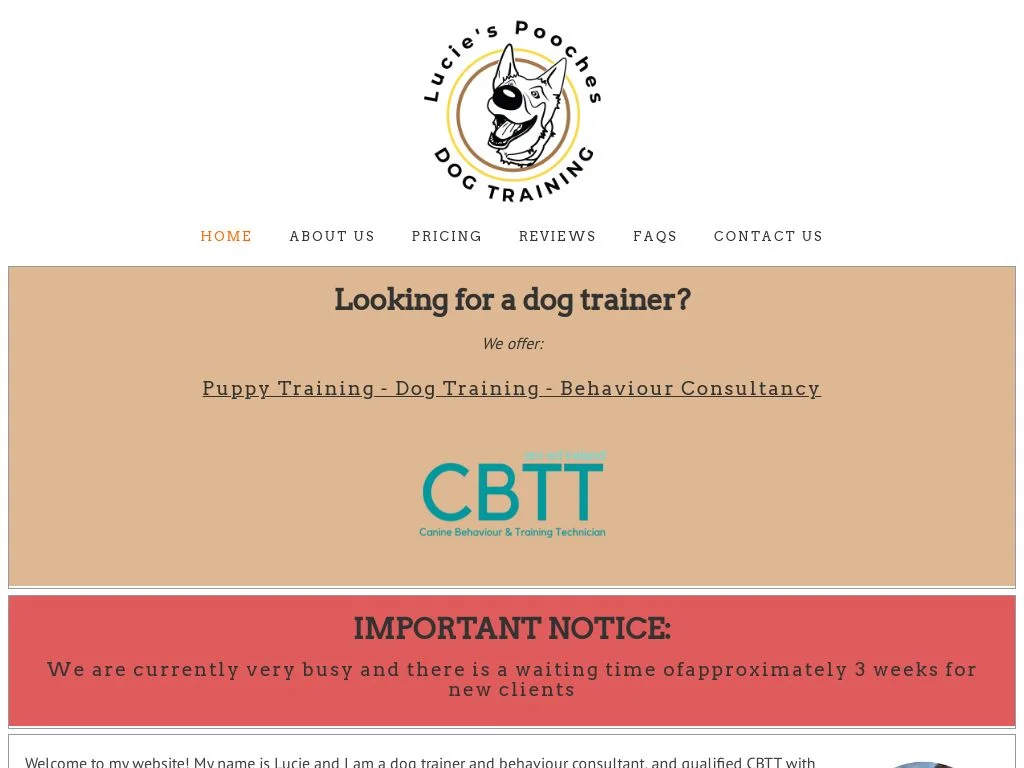 Dublin Dog Owners Reveal 5 Trainers That Actually Work 2026 Lucie