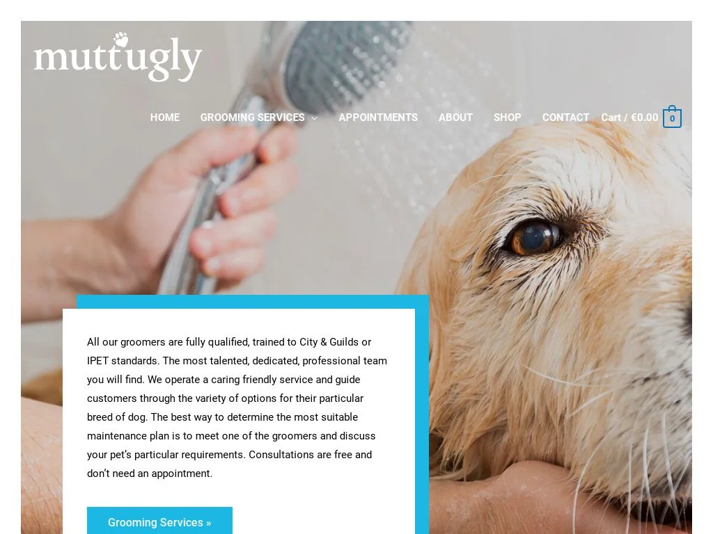 Best Dog Groomers In Dublin: Your Pet's Spa Day Awaits! (2026 Gem) Muttugly