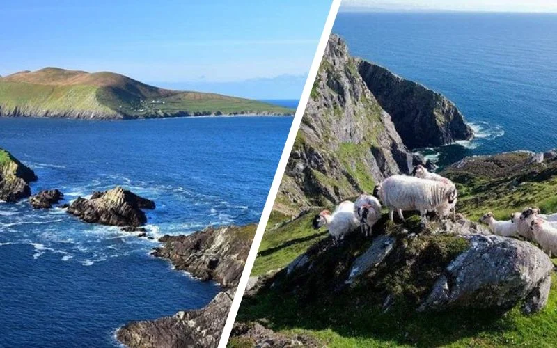 Handpicked Dingle Tours That Locals Keep Secret (Expert-Verified 2026) Ring of Kerry & Skellig Ring Private Day Tour