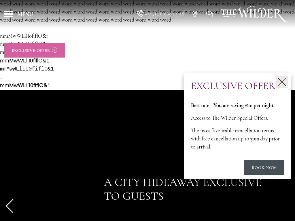 Dublins BEST Hotel Bars You MUST Visit (Award-Winning Curated Collection for 2026) The Wilder Townhouse