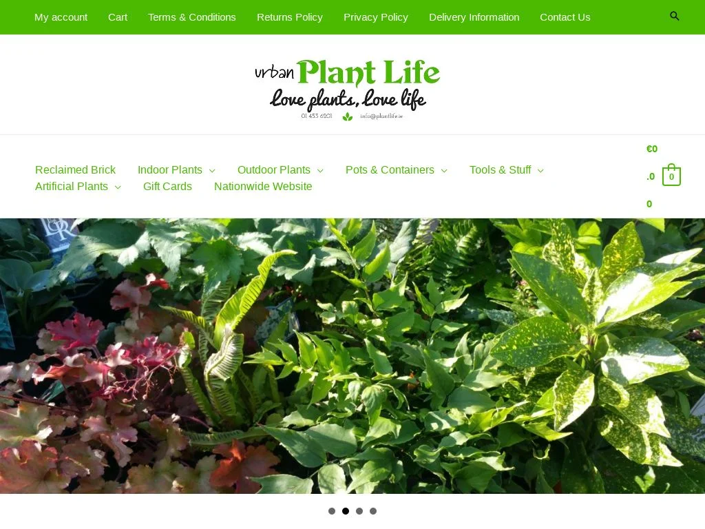 Garden Centres in Dublin: Where to Go for Plants That Survive Here Urban Plant Life