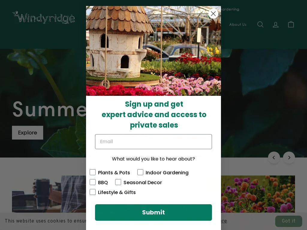 Garden Centres in Dublin: Where to Go for Plants That Survive Here Windyridge Nurseries | Garden Centre in Dublin