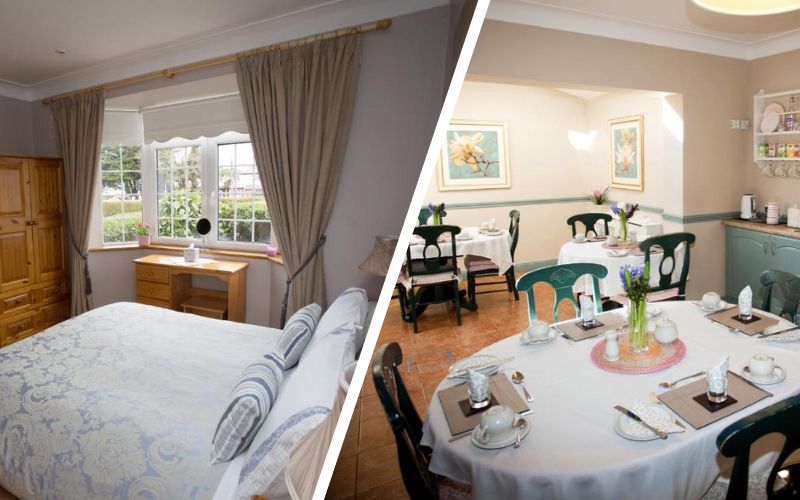 Best Bed and Breakfasts in Dublin (RANKED for 2026) – Hidden Gems & Insider Favourites! Almanii