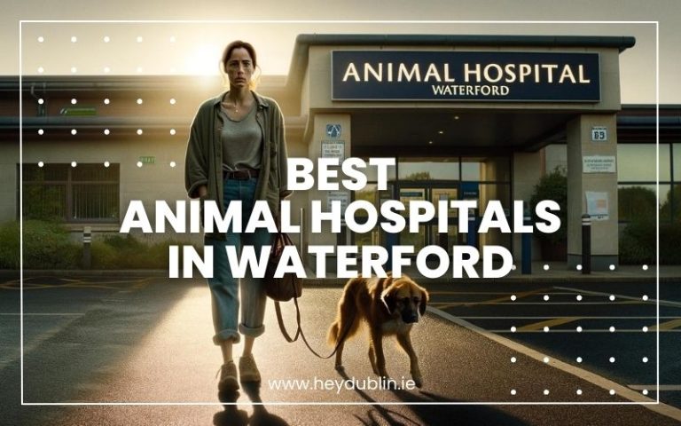 Best Animal Hospitals in Waterford