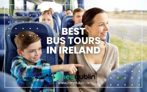 Best Bus Tours in Ireland