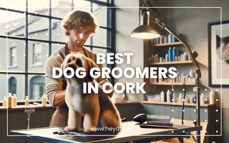 Best Dog Groomers in Cork
