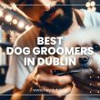 Best Dog Groomers in Dublin