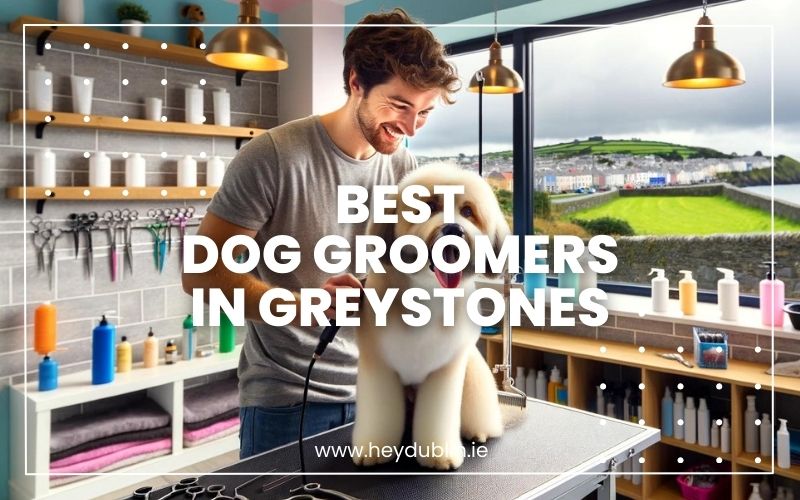 → Best Dog Groomers in Greystones Elite Picks for a Perfect Groom