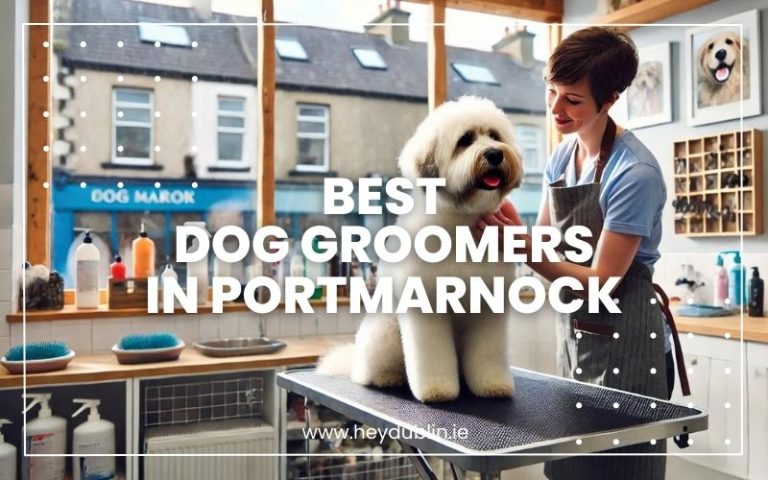 Best Dog Groomers in Portmarnock