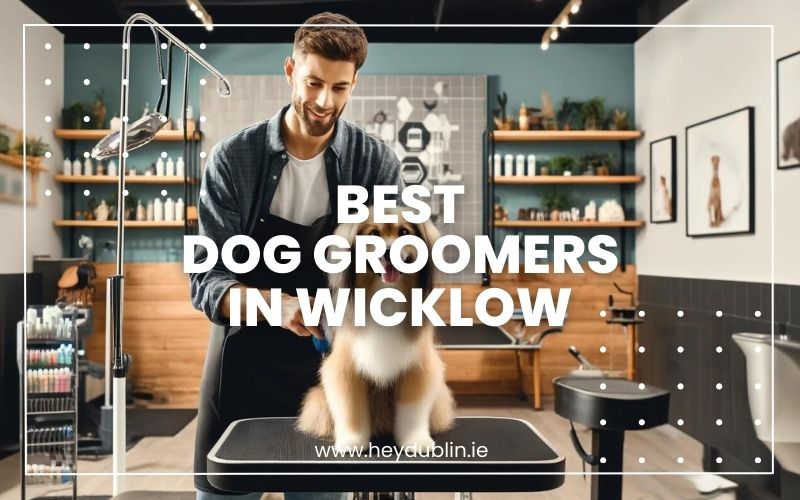 → Best Dog Groomers in Wicklow Curated Collection for Your Furry