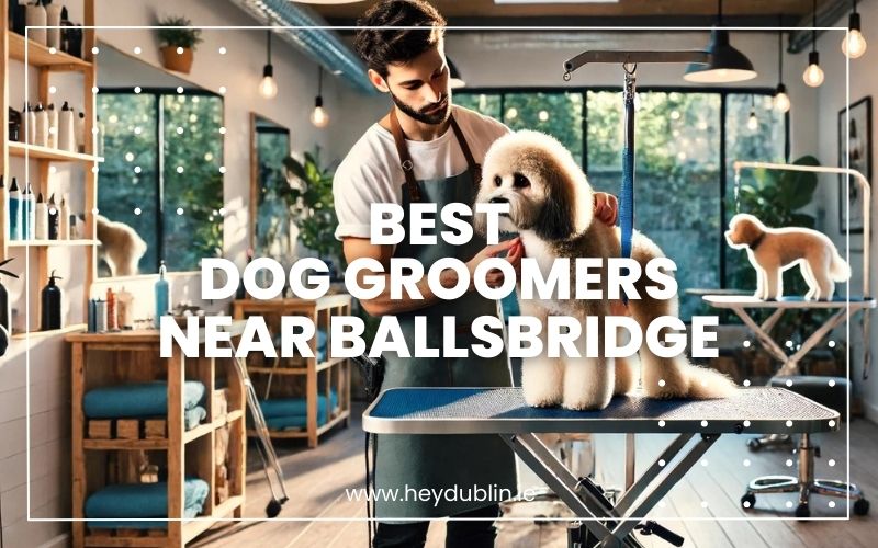 → Best Dog Groomers near Ballsbridge Hidden Treasures for Your Dog