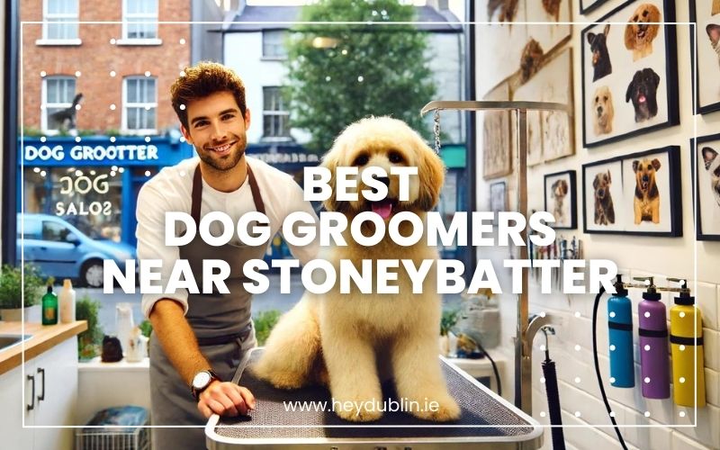 → Best Dog Groomers near Stoneybatter Top Choices for a Perfect Groom