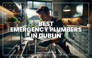 Best Emergency Plumbers in Dublin