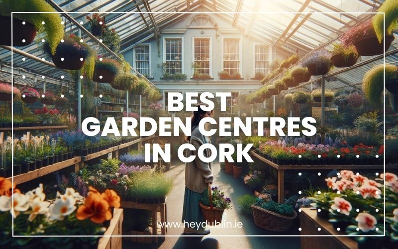 → Best Garden Centres in Cork Your Green Haven Awaits (2024) HeyDublin