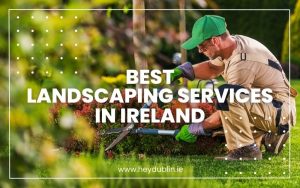 Best Landscaping Services in Ireland