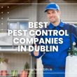 Best Pest Control Companies in Dublin