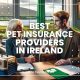 Best Pet Insurance Providers in Ireland 1