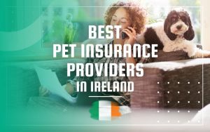Best Pet Insurance Providers in Ireland