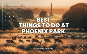 Best Things to Do Phoenix Park in Dublin Ireland