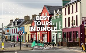 Best Tours in Dingle