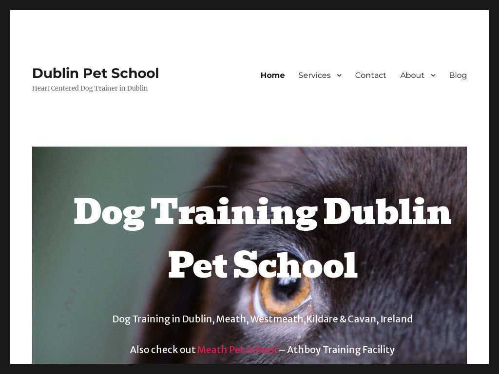 → Best Dog Trainers In Dublin 2024's Most Loved by Pet Owner HeyDublin