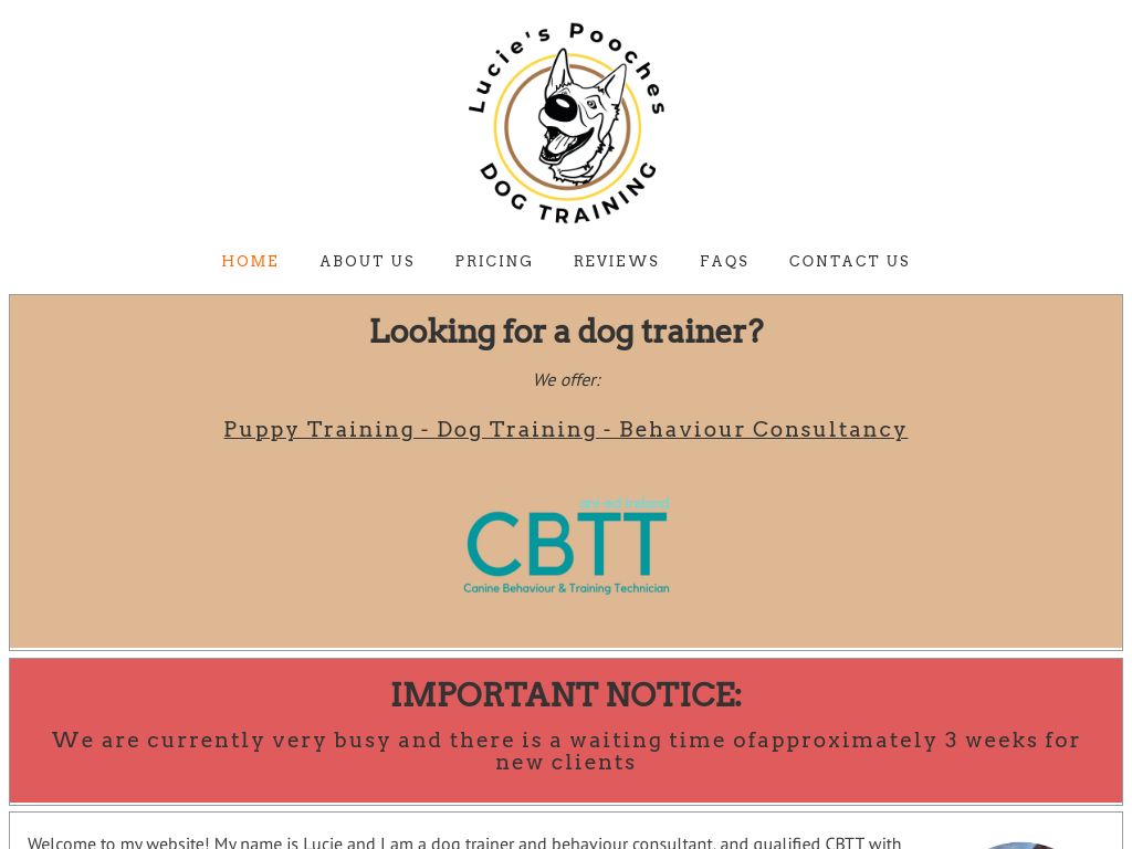 Dublin Dog Owners Reveal 5 Trainers That Actually Work 2026 Lucie