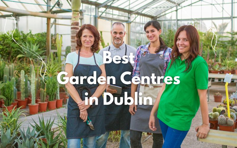 Best Garden Centres in Dublin
