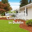 Best Landscaping Companies in Dublin
